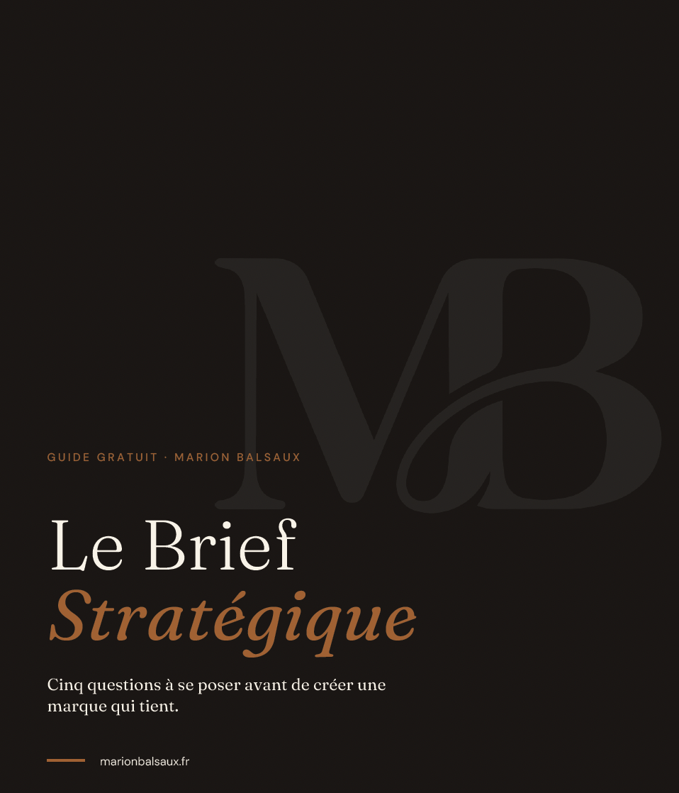Aperçu du PDF Le Brief Visuel